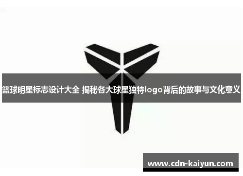 篮球明星标志设计大全 揭秘各大球星独特logo背后的故事与文化意义